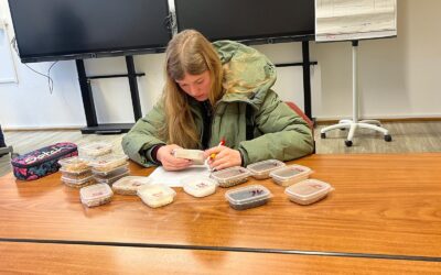 Sechs Kreisentscheide des Berufswettbewerbs in Westf.-Lippe